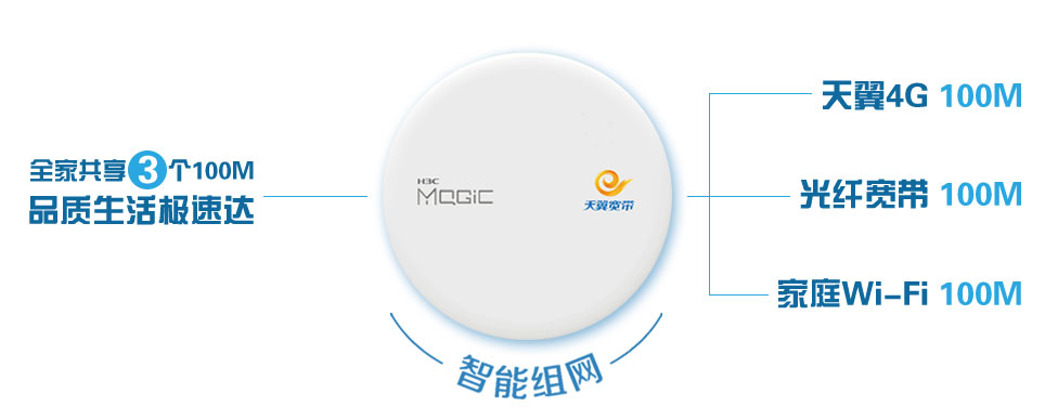 上海電信智能組網(wǎng)業(yè)務(wù)介紹
